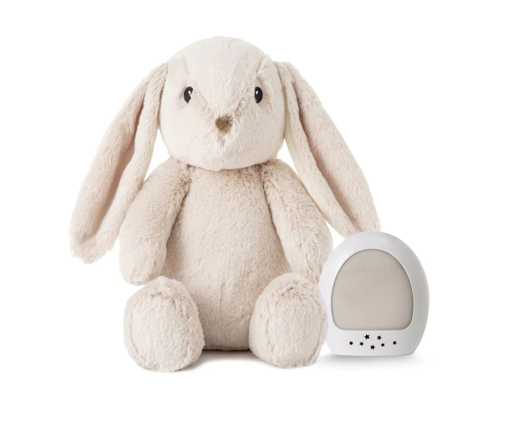 Conejo Multisensoe Billy Bunny Cloud B - Image 2