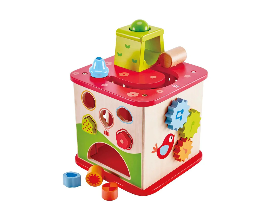 Cubo De Actividades Friendship Hape