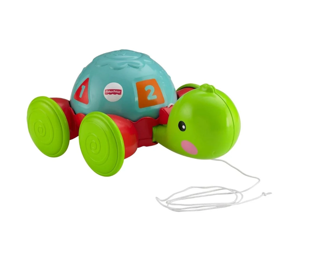Tortuga de Aprendizaje