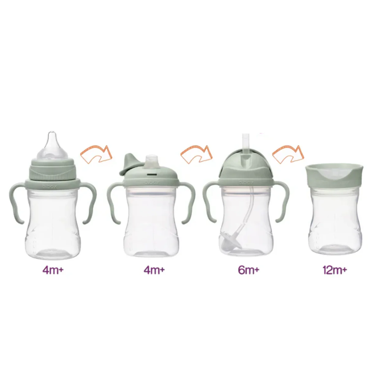 Vaso Transicion 4 En 1 | Sage BBOX - Image 2